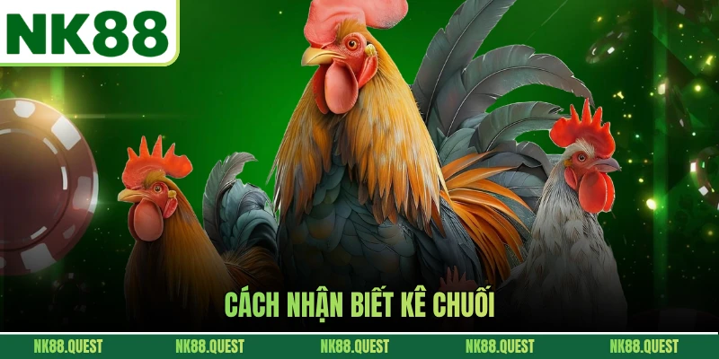 Cách nhận biết kê chuối