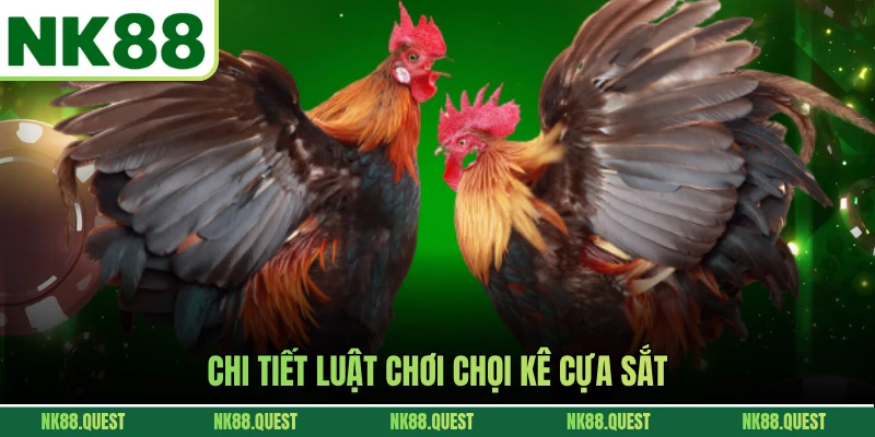 Chi tiết luật chơi chọi kê cựa sắt