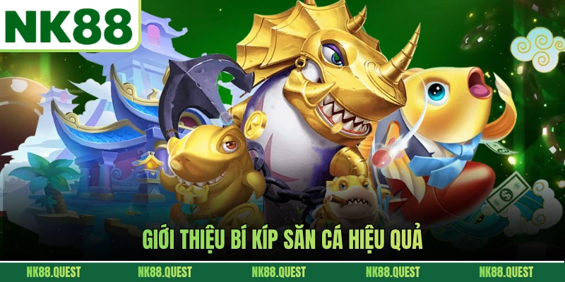 Giới thiệu bí kíp săn cá hiệu quả